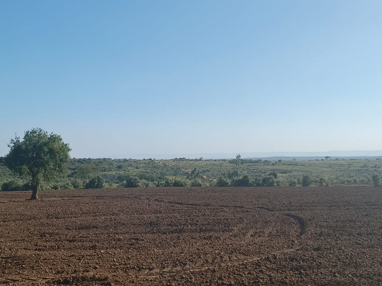 plots for sale Narok – Kichinjio plot with electricity and road access
